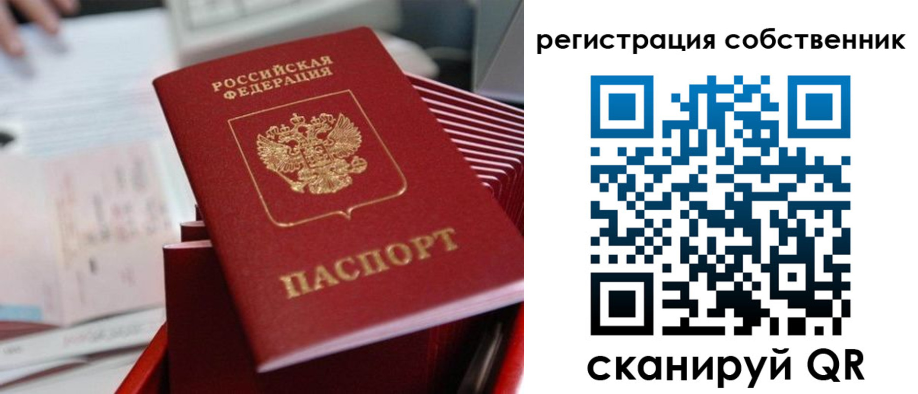 регистрация для школы в Боровичах